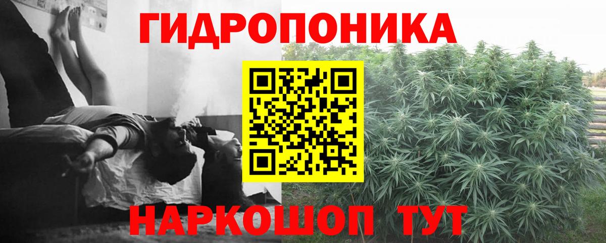 Шишки марихуана семена  Конопля план  Канабис VHQ  Вход с VPN  Нальчик  Каннабис тримм 